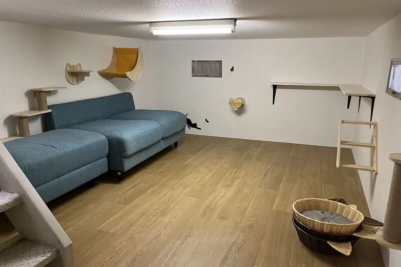 キャットウォーク_before