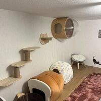 IMG_2961